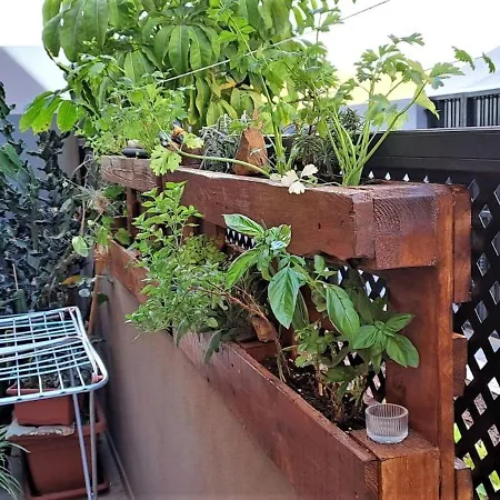 Casa Maya Adeje Tenerife Sur Pool And Terrace * Costa Adeje (Tenerife)