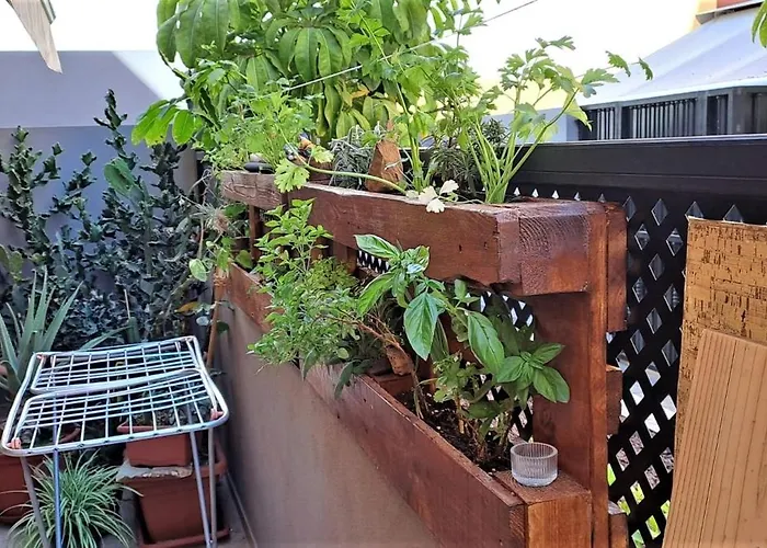 Casa Maya Adeje Tenerife Sur Pool And Terrace * 阿德耶